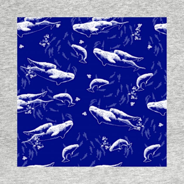 Belugas in Family of St. Lawrence Pattern - Blue Background by rainetteillus